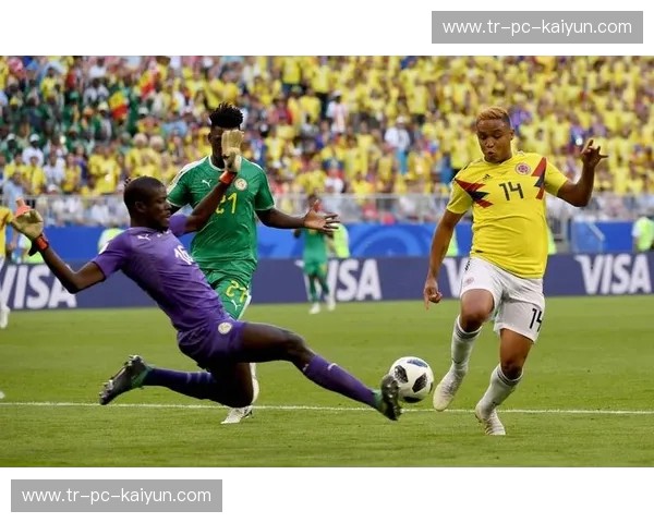 比分美洲杯：点燃南美激情，掌握每一刻精彩