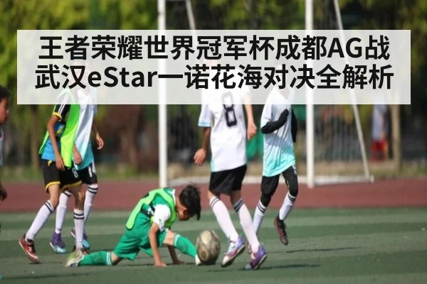 王者荣耀世界冠军杯成都AG战武汉eStar一诺花海对决全解析
